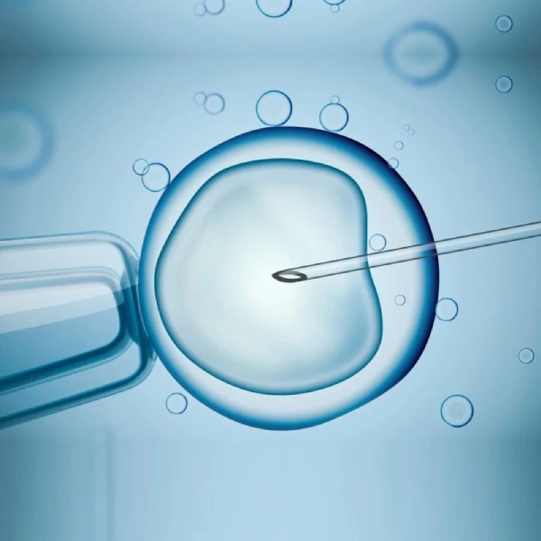In Vitro Fertilization (IVF) at Yashoda IVF